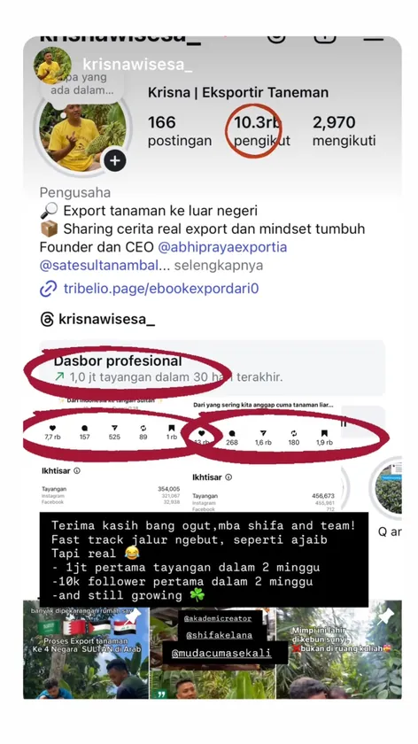Insight @krisnawisesa_: 10,3 ribu pengikut baru dan 1 juta tayangan dalam 30 hari